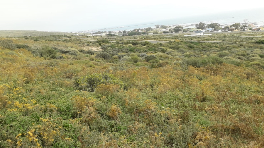 0 Bedroom Property for Sale in St Helena Views Western Cape